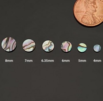 Green abalone dot / Zeeoor stip (diverse formaten leverbaar)