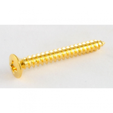 Ap gs 3005 002 neckplate screws gold