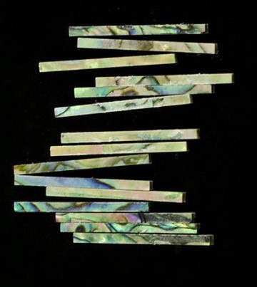 Filets purfling abalone straight 16 x 16 x 25 mm 15pcs