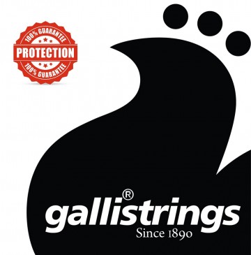 Galli ls1027 12 strings light 2